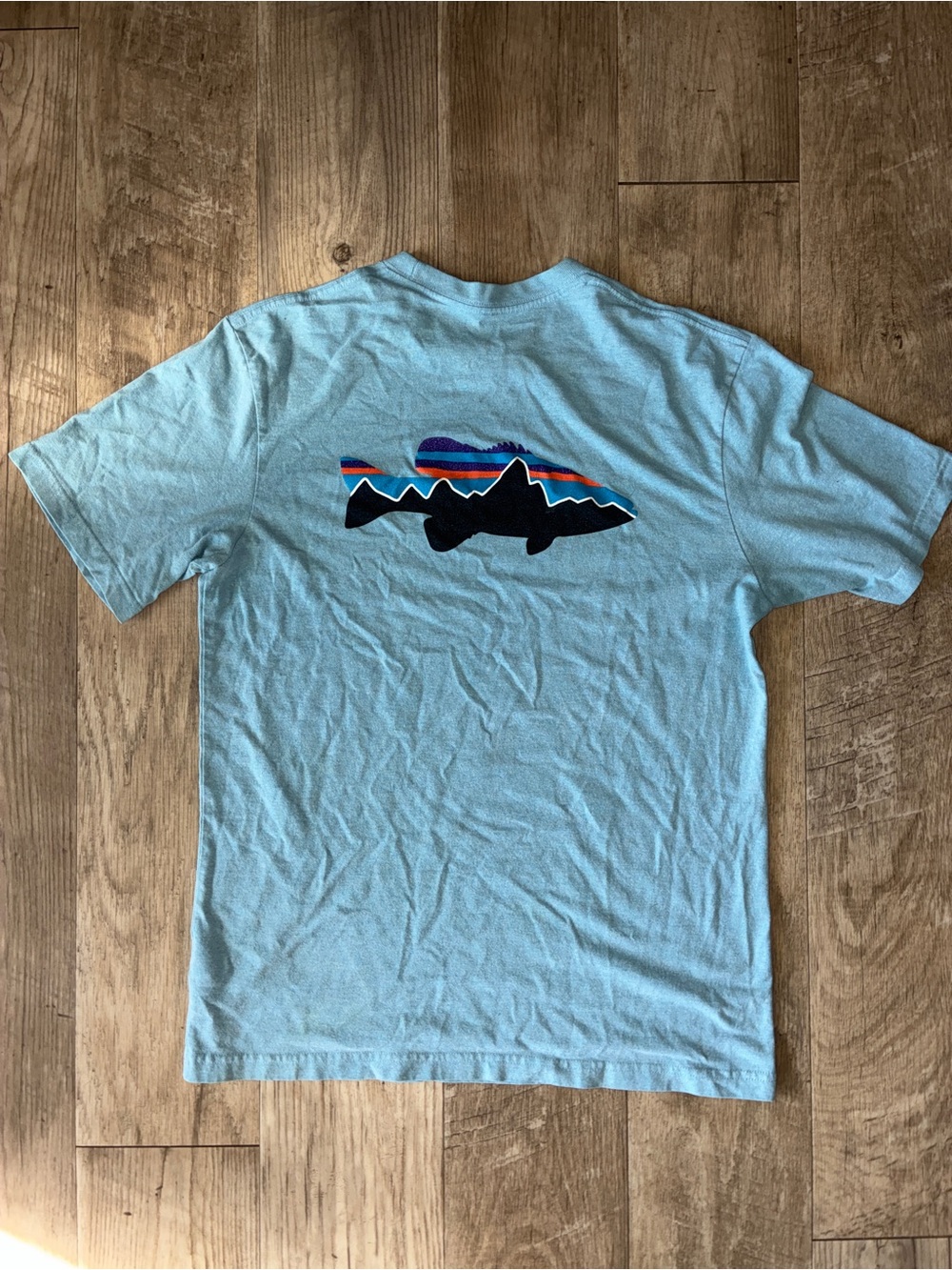 Patagonia Fitz Roy Smallmouth Responsibili-T-Shirt - Men's